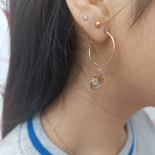 Argollas Aleatorio 🐚 Concha