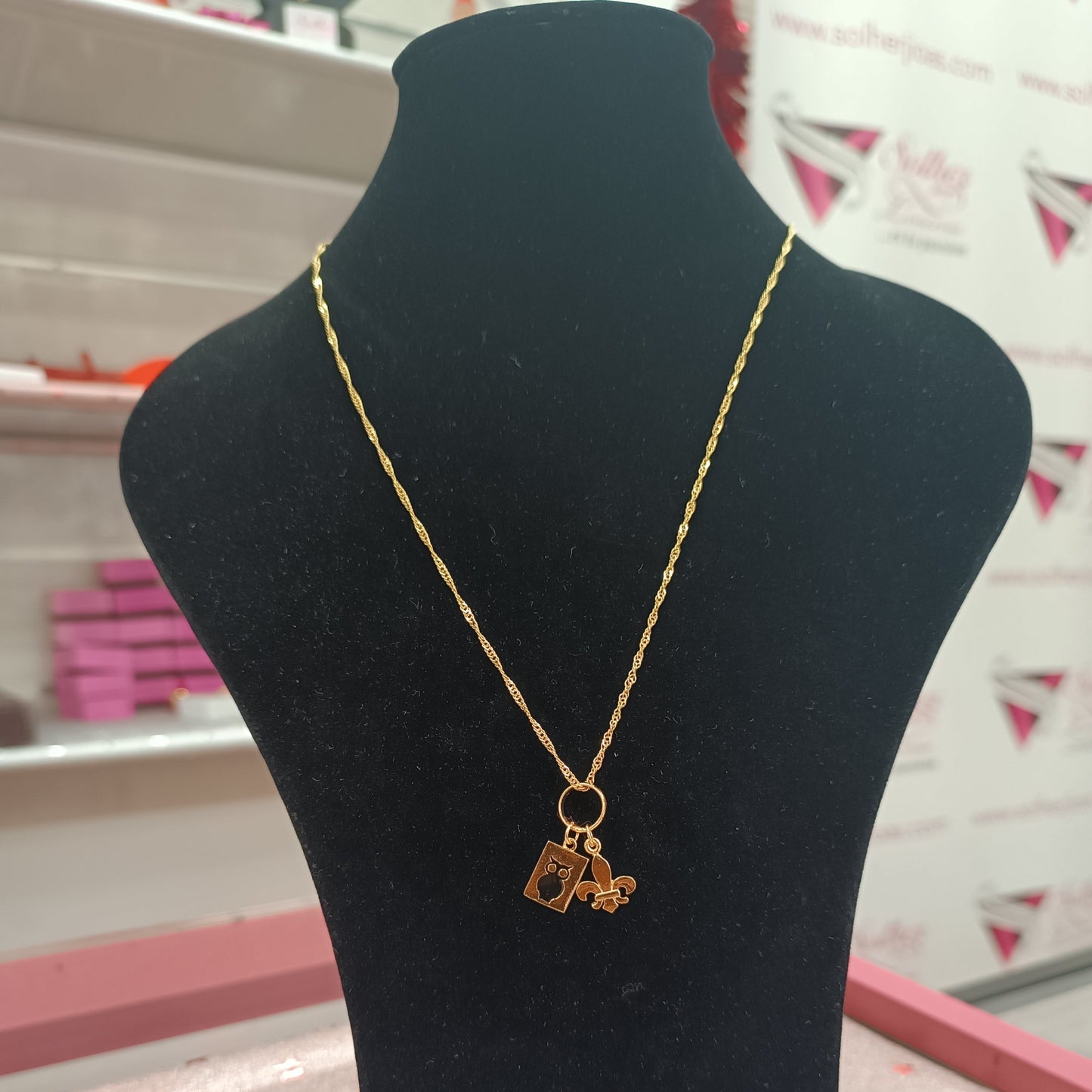 Cadena y Colgante Pedagogía Gold