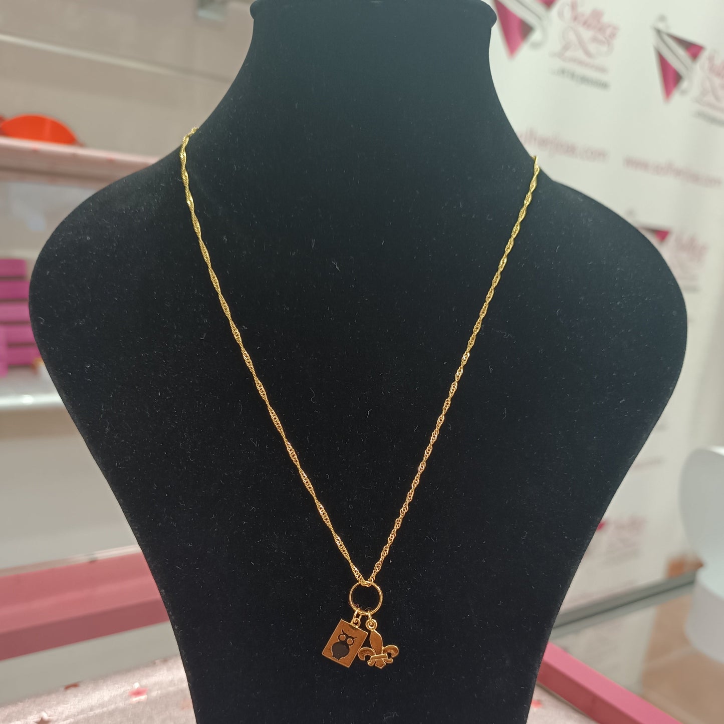 Cadena y Colgante Pedagogía Gold