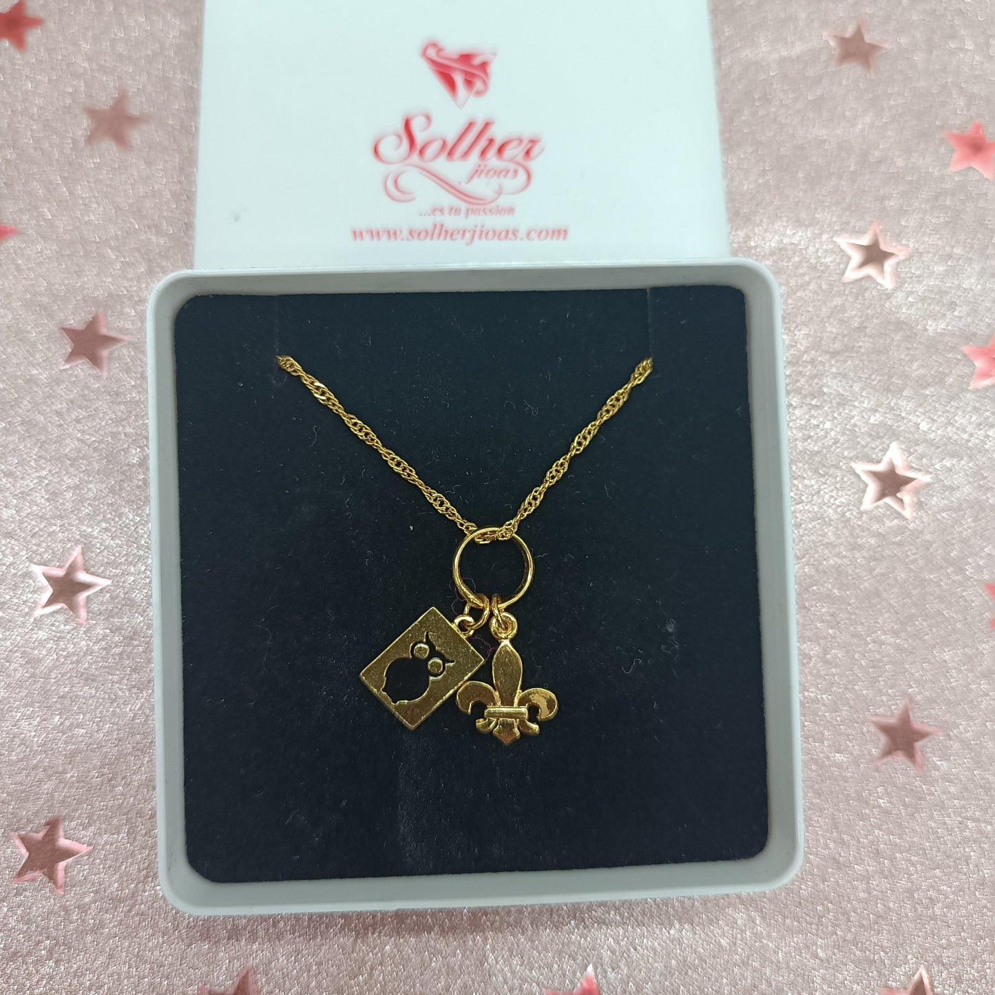 Cadena y Colgante Pedagogía Gold