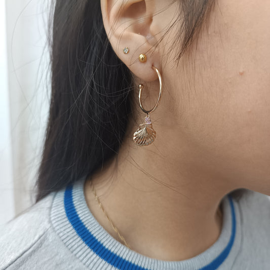 Argollas Aleatorio 🐚 Concha