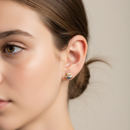 Pendientes  Búho 🦉 con Circonitas .